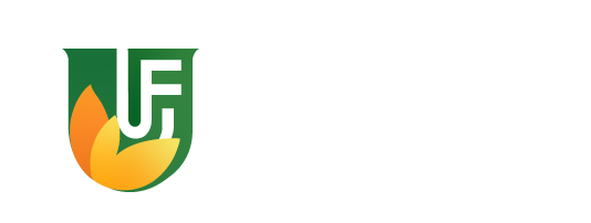 Urban Small Finance